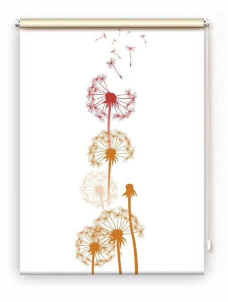 Rollo Dandelions mixed Pfeffer 3 , Rollo, Motivrollo, Rollo mit Druck, Fotorollo, bedrucktes Rollo, Fensterrollo,verdunkelndes Rollo, Sonnenschutz Rollo
